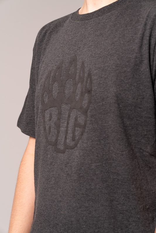 BIG Origins HD 22 T-Shirt - Back View