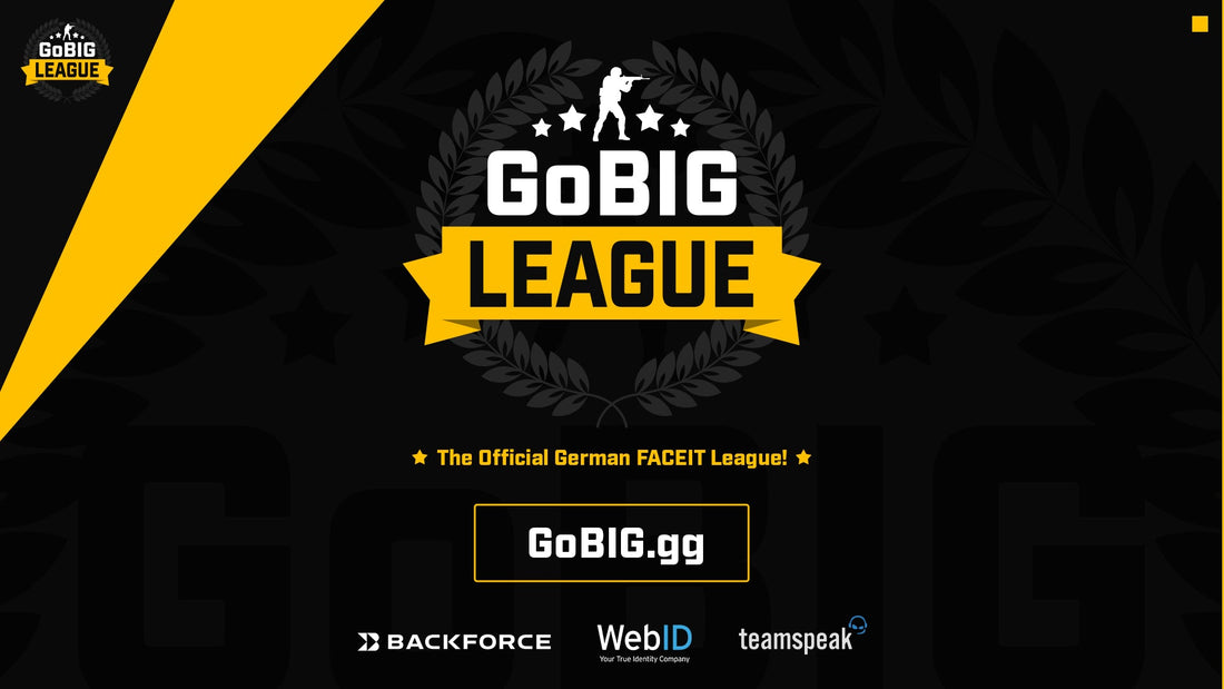 BIG Launches GoBIG League with FACEIT