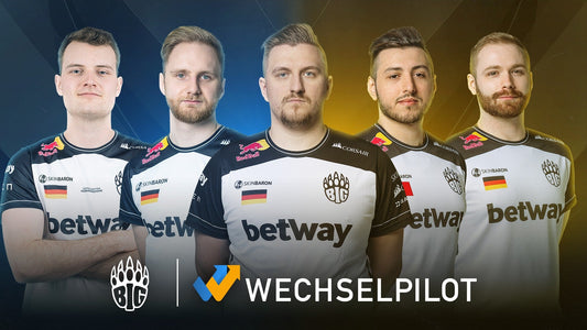 Wechselpilot starts partnership with BIG