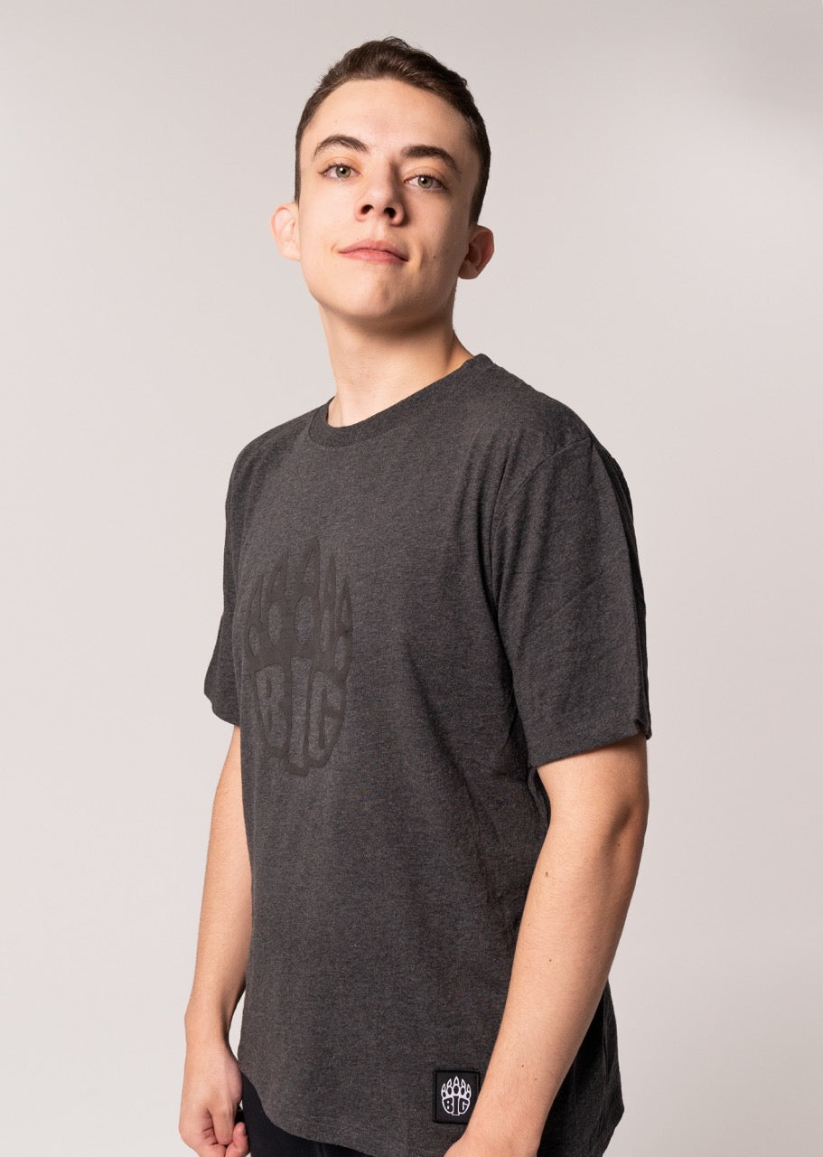 BIG Origins HD 22 T-Shirt - Front View