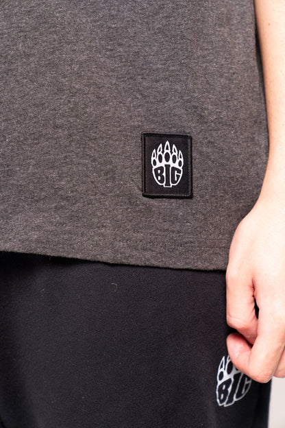 BIG Origins HD 22 T-Shirt - Detail
