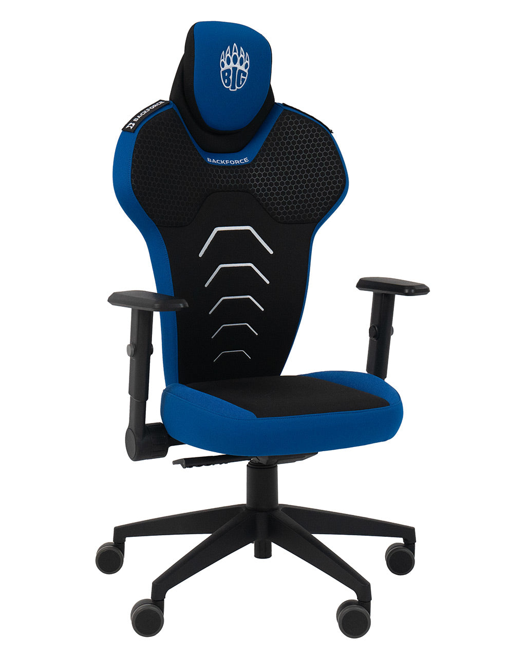 bfv01